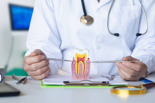 Best Emergency Root Canal Treatment in Fairlea, WV